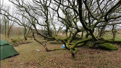 Guying out the tarp POV GoPo 22nd March 2023