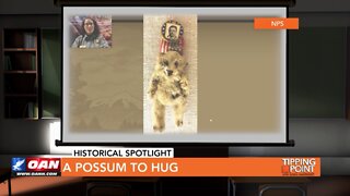 Tipping Point - Historical Spotlight - A Possum to Hug