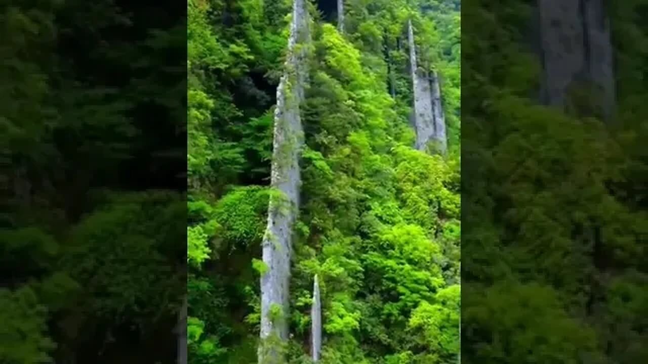 #naturelovers