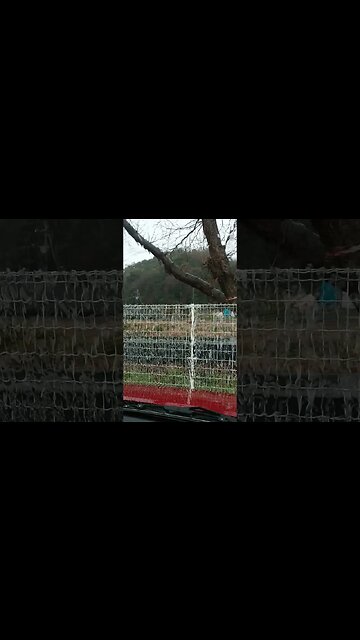 Cracks in Reality #thematrix #simulation