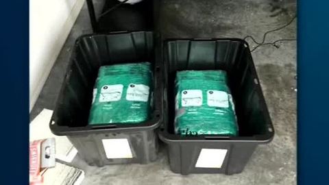 65 pounds of weed included with Amazon Package