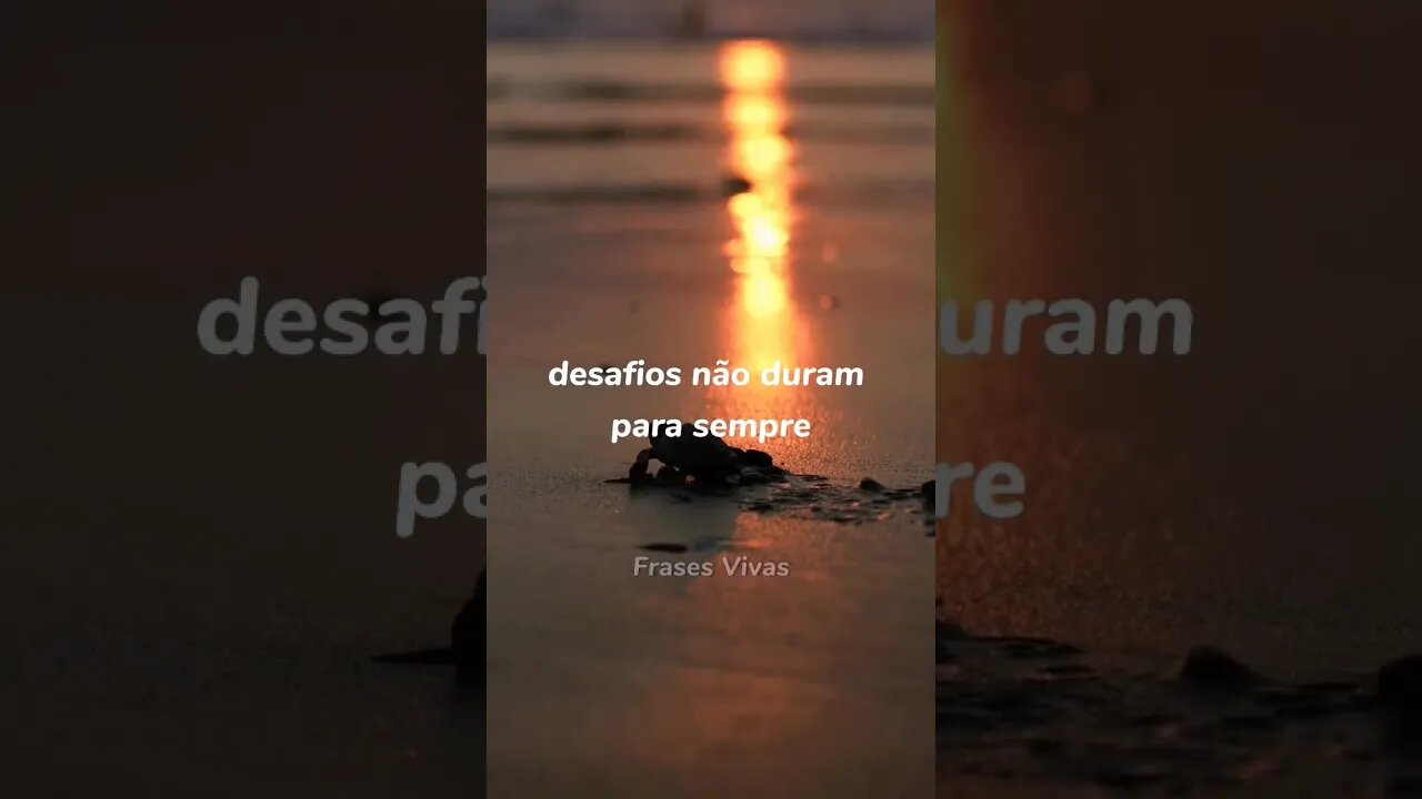 Abrace a escuridão para apreciar a luz! #reflexão #frases #pensamentos #foco