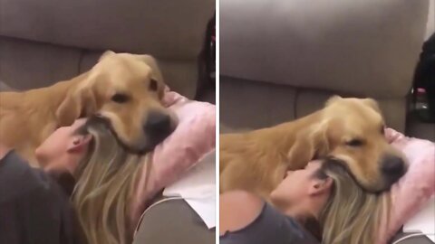 Puppy just Loves his Mum 🤣😂