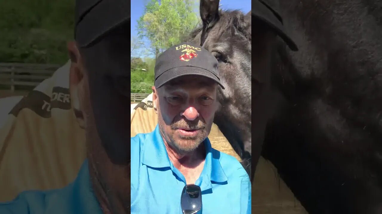 Celebrate with Jennifer the clonkhead xoxo