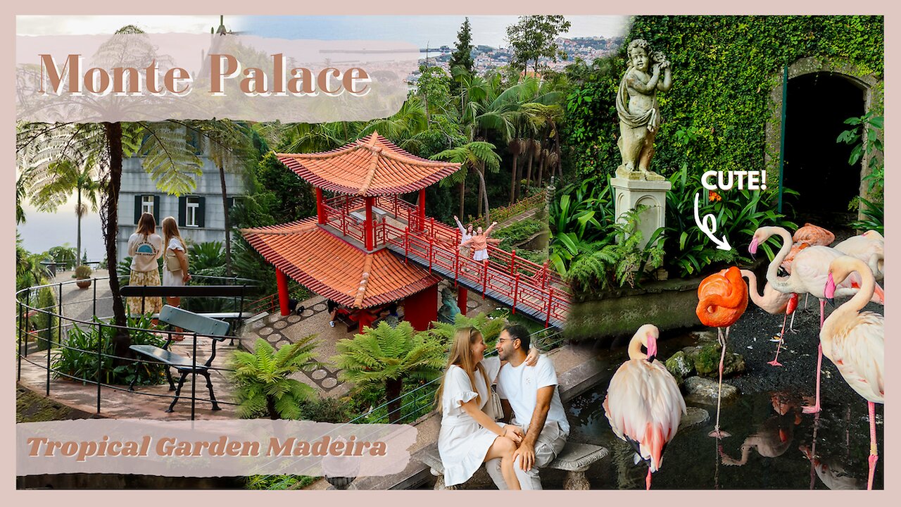 Visit MONTE PALACE with us 🌿 Botanical Garden MADEIRA 🌴🌺