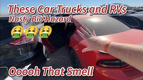 Worst Bio Hazard Smell Cars Trucks And RV’s at Auction 🤮