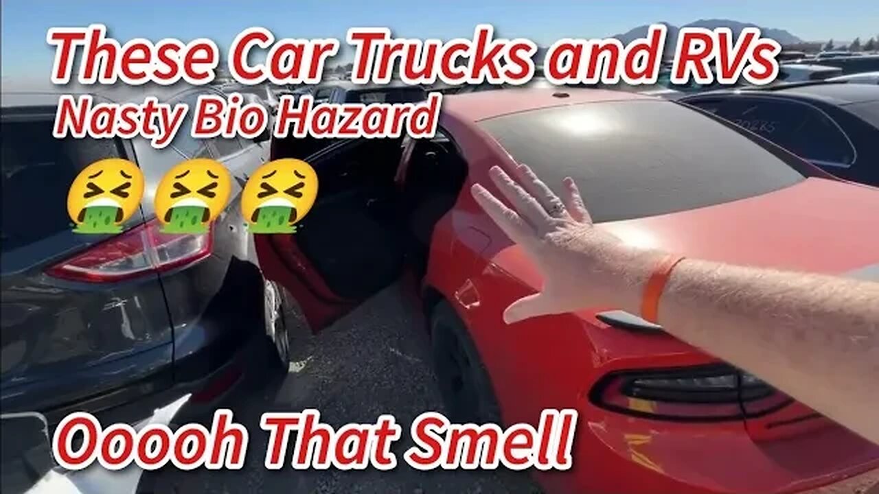 Worst Bio Hazard Smell Cars Trucks And RV’s at Auction 🤮