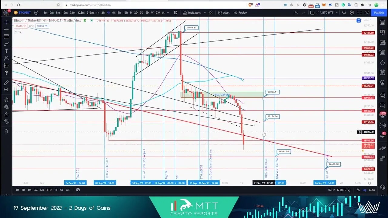 Are you Trading Together or Alone? #btc #eth