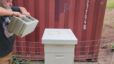 Checking on the bees.