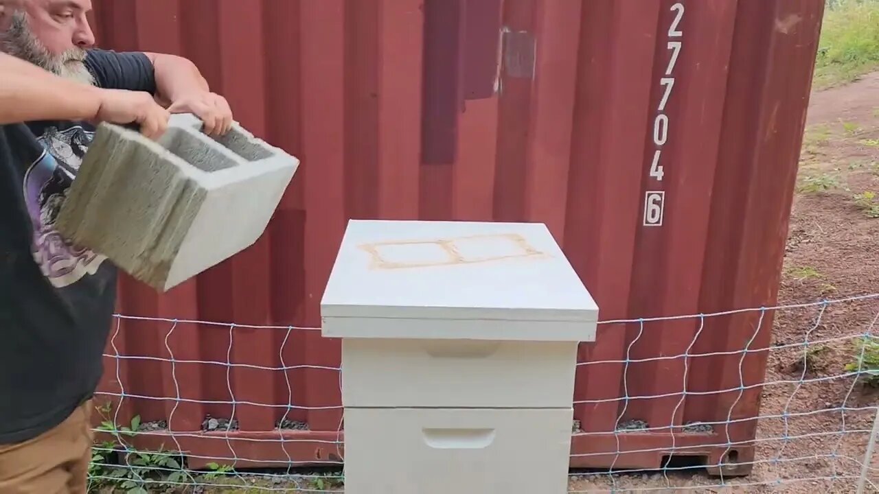 Checking on the bees.