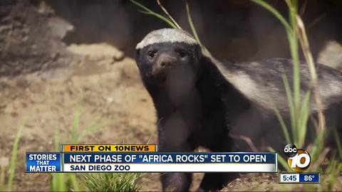 Next phase of 'Africa Rocks' set to open