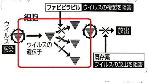 2020.02.26rkyoutube新型コロナウイルス戦争２６ アビガンが自ら道を拓く