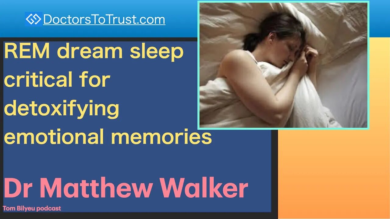 SLEEP 1 | REM dream sleep critical for detoxifying emotional memories