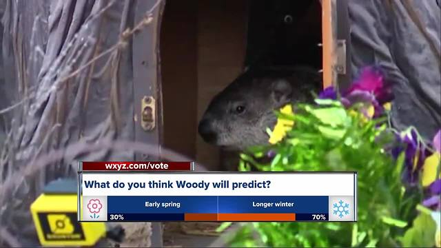 What will Woody predict this Groundhog Day?