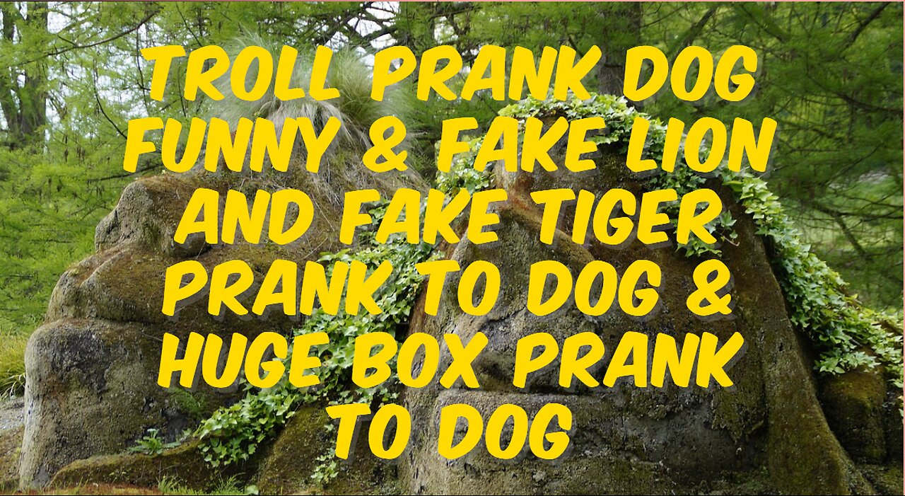 Troll Prank Dog Funny & fake Lion and Fake Tiger Prank To dog & Huge Box Prank to dog