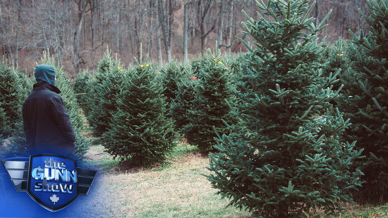 World Economic Forum goes after fake Christmas trees after telling us to stop cutting down forests