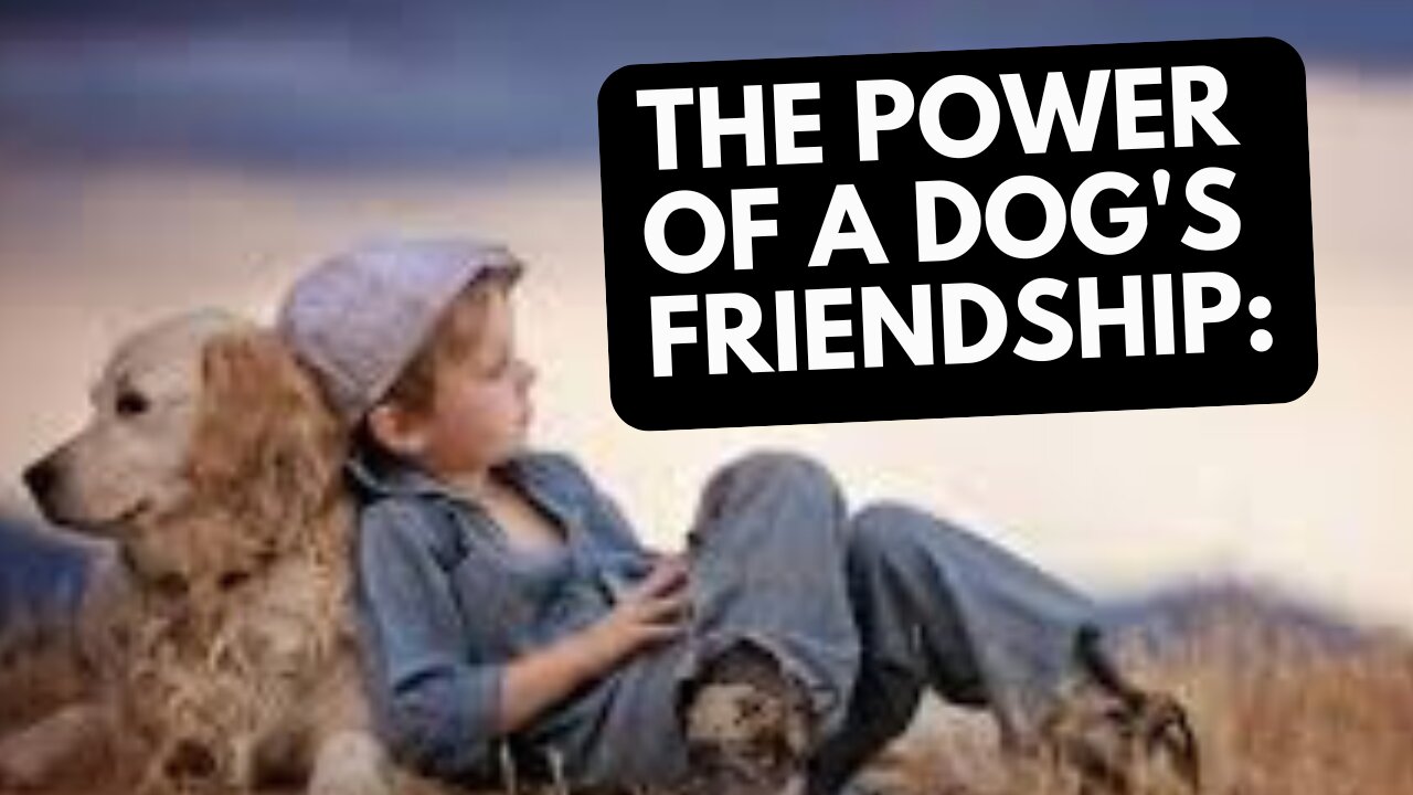 The Transformative Power of a Dog's Friendship: From Loneliness to Companionship