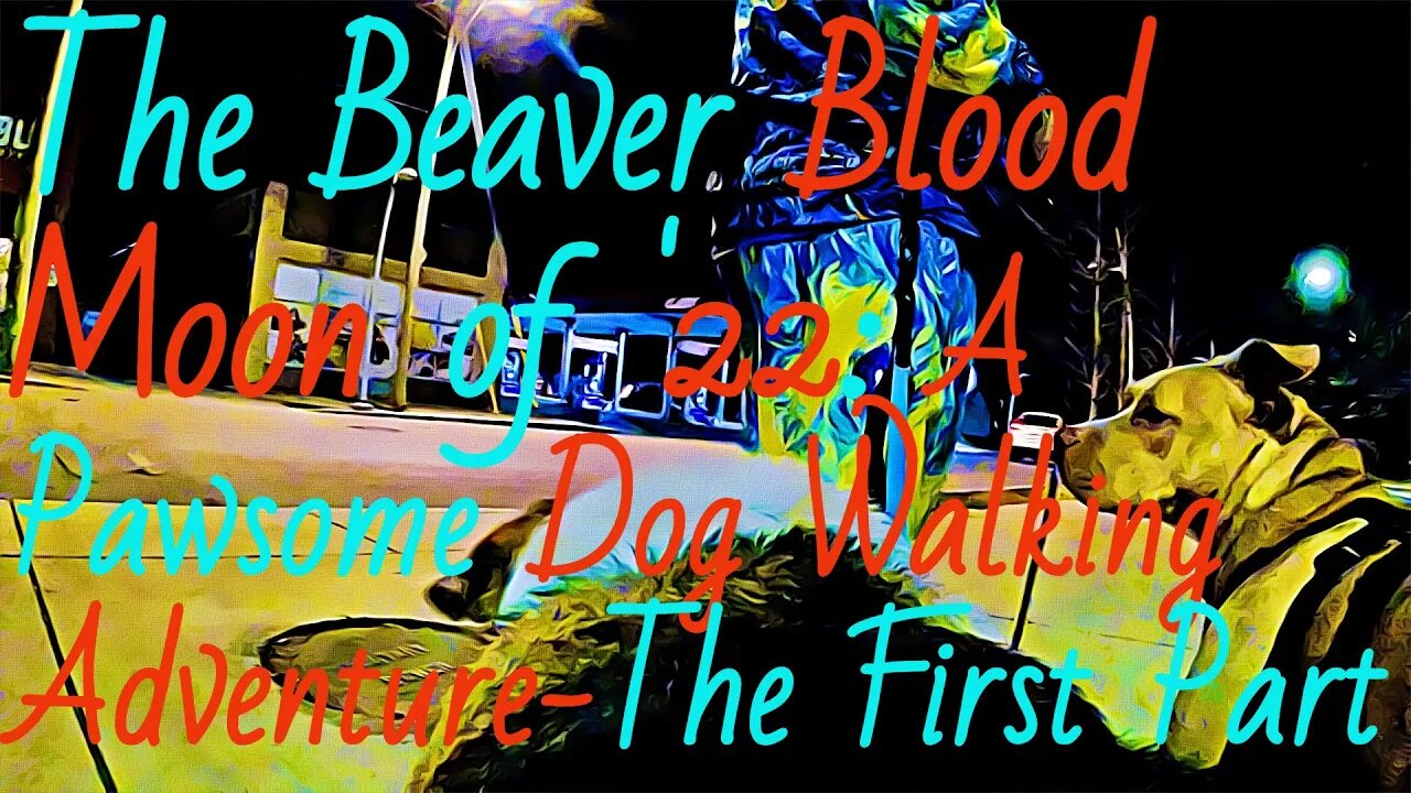 The Beaver Blood Moon of '22: A Pawsome Dog Walking Adventure-The First Part