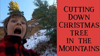 Cutting Down a Colorado Christmas Tree in the Mountains | Large Family Style