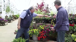 Hanging Baskets for Mother's Day