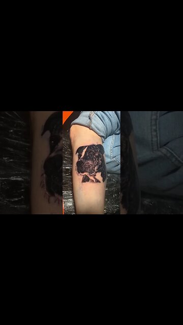 Pitbull tattoo finished ,R.I.P Roxy.