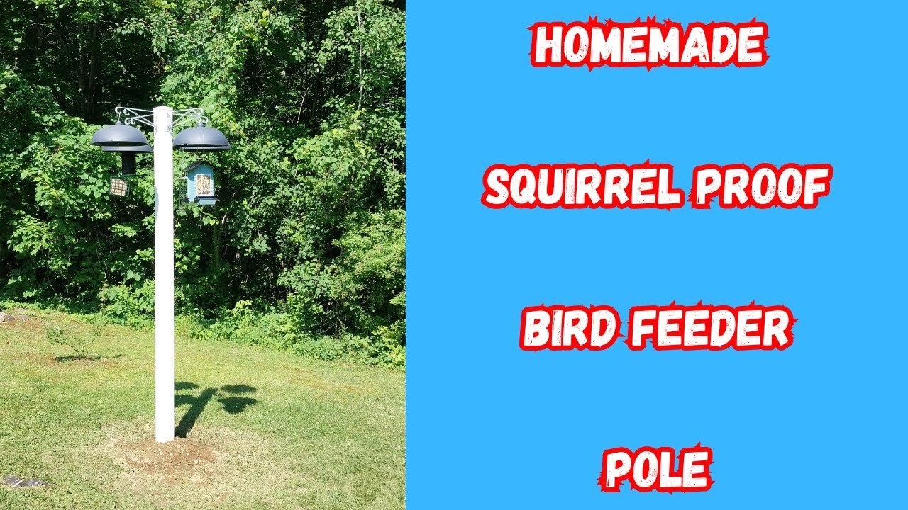 Homemade Squirrel Proof Bird Feeder Pole