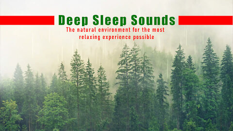 Deep sleep with white noise sounds | Baby sleeps on sound | Go to sleep and stay up all night