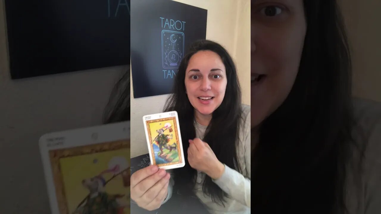 May 3rd 2023 MAJOR ARCANA #shorts