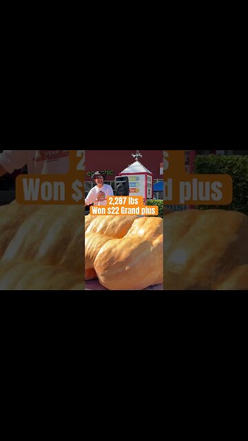 Moving Giant Pumpkins #bubba #prizewinner