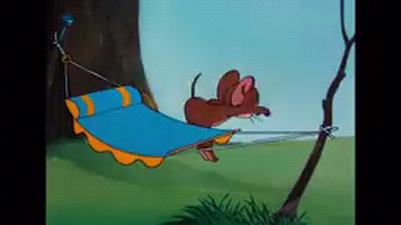 tom and jerry trouble everywhere