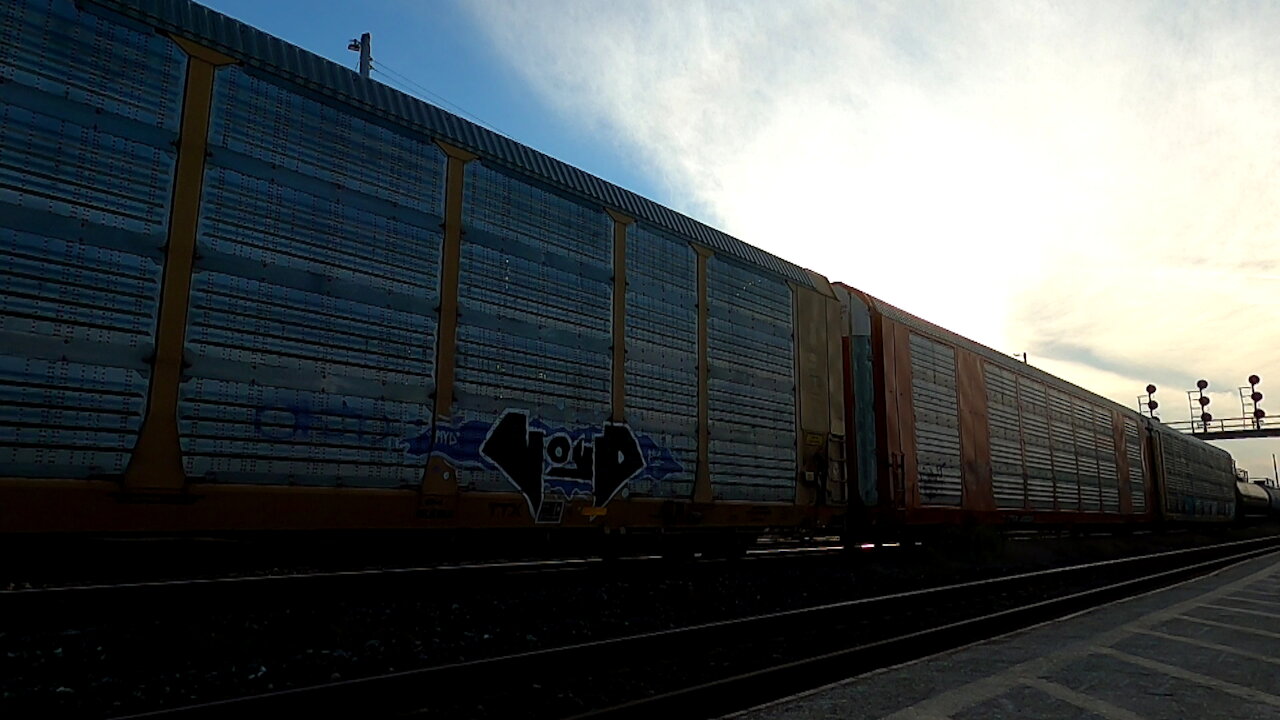 Eastbound Manifest Train 492 With CN 3800 Locomotive In Ontario