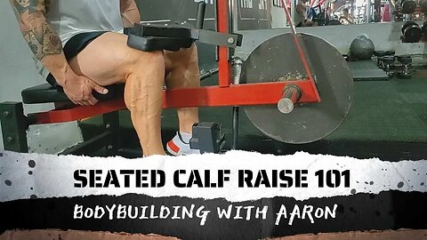 SEATED CALF RAISE 101