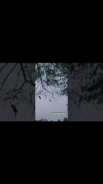 #killinwoodies #duckhunting #publicland