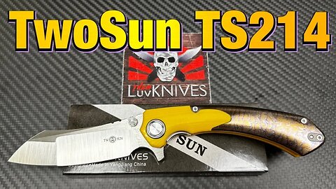 TwoSun TS214-Color