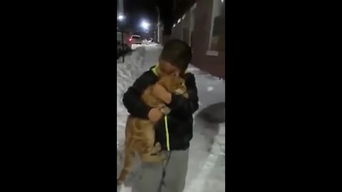 Boy cries because his mother won't let him adopt a cat