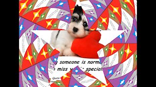 Missing someone is normal, Miss you is special! [Quotes and Poems]