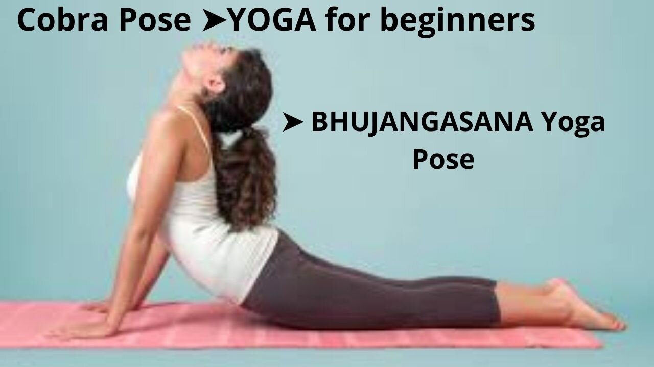 Cobra Pose || YOGA for beginners ➤ BHUJANGASANA Yoga Pose