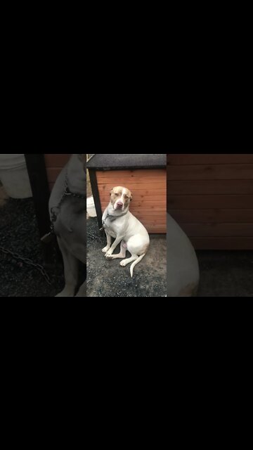 Darling Henry. For our Henry lovers