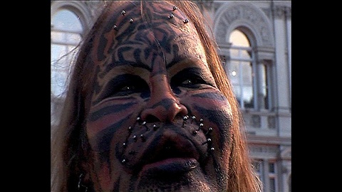Stalking Cat