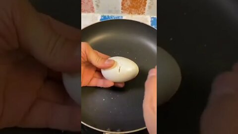 MultiYolk Egg