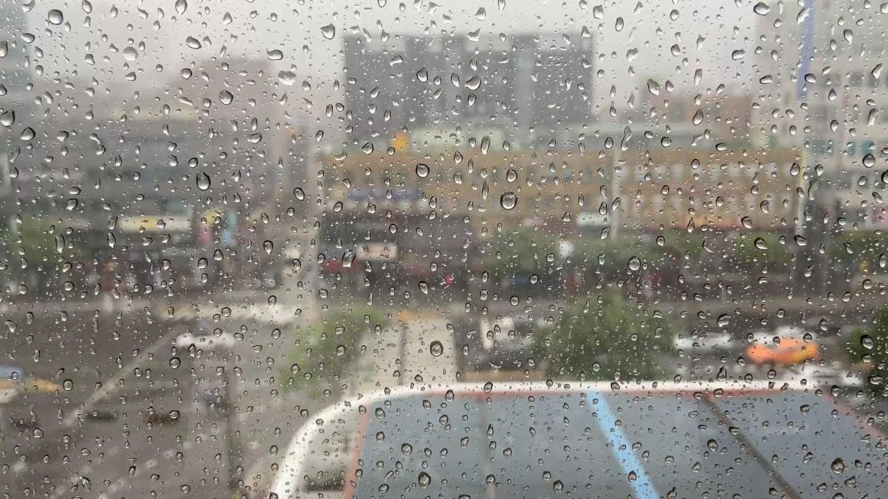 Rainy Day