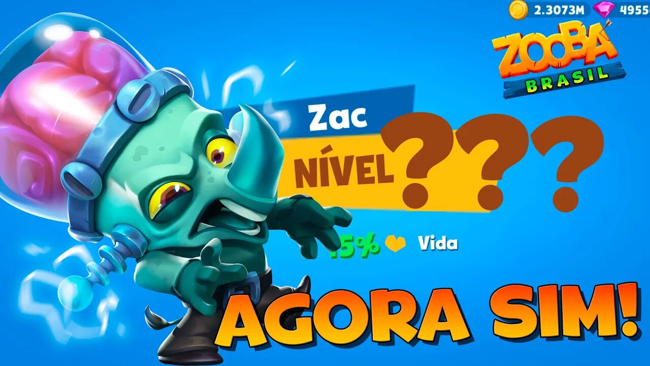 ZAC EVOLUIU E AGORA VAI FICAR MUITO FORTE! ZOOBA