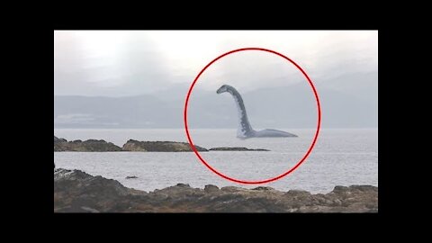 5 SEA SERPENT CAUGHT ON CAMERA LIVE