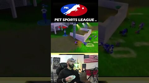 Hall of Fame play by Jerry Rice in some hot Pet Sports League Action! #psl #dog #football #shorts