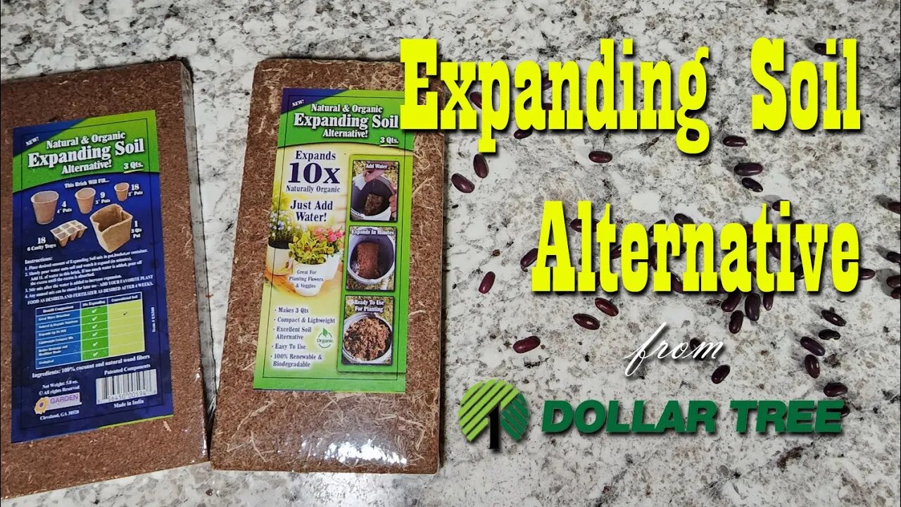 Expanding Soil Alternative from Dollar Tree & Planting Bunching Onion Seeds