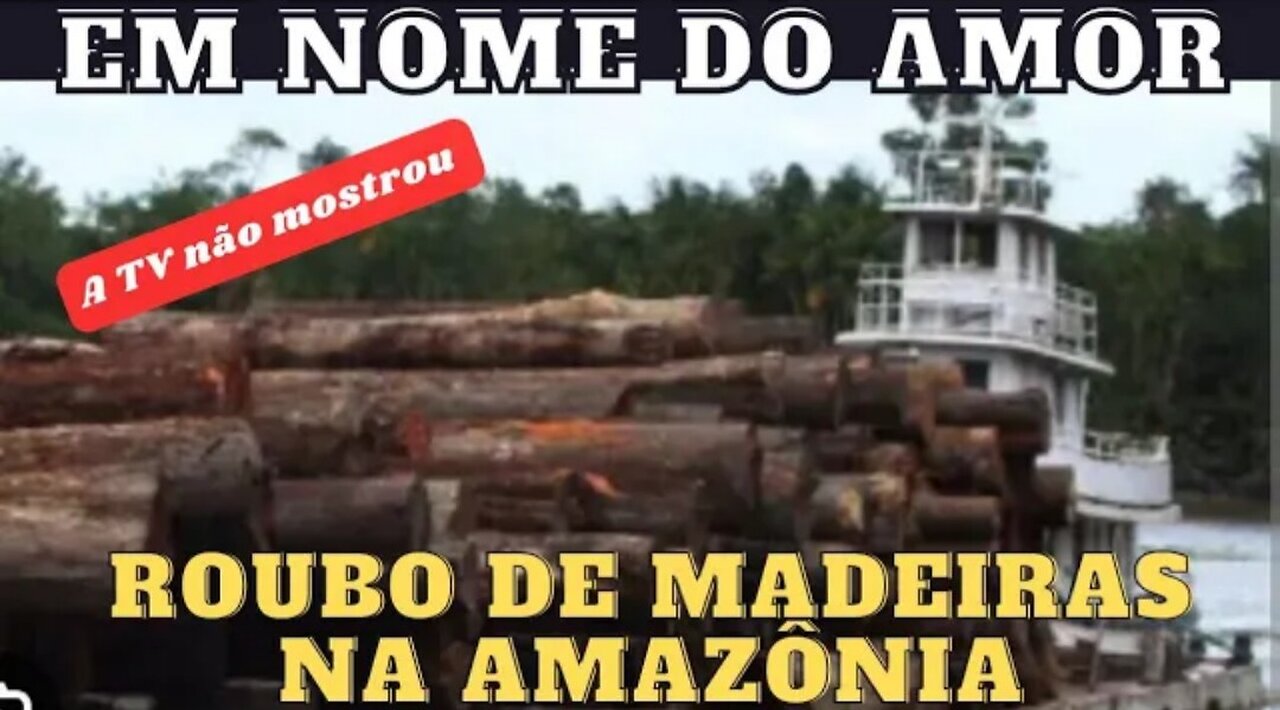 DENÚNCIA GRAVE DE ROUBO DE MADEIRA NA AMAZÔNIA