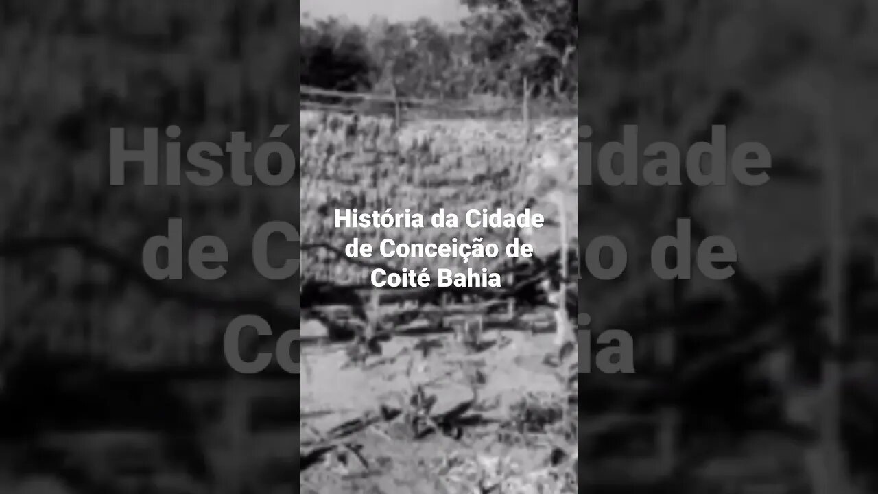 História da Cidade de Conceição de Coité Bahia