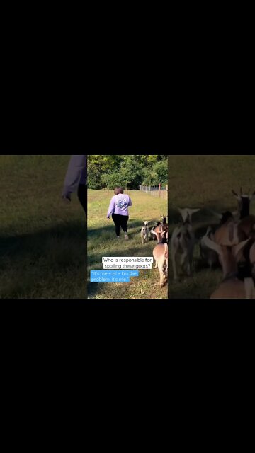 The Real Reason We Keep Having Problems #shorts