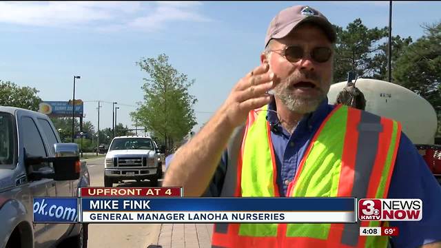 Ash trees removed along Omaha airport route