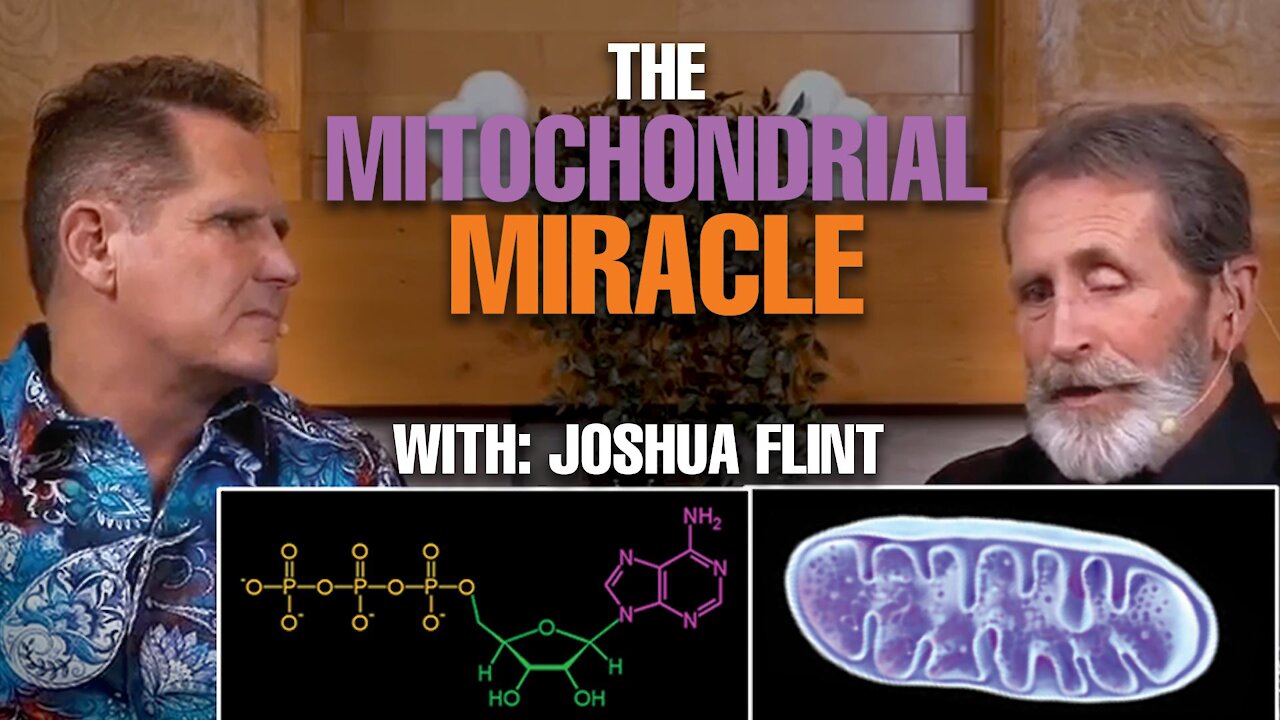 The Mitochondria Miracle With Joshua Flint